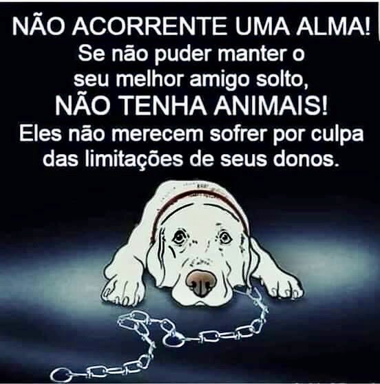 Isaura82208423's tweet photo. https://t.co/pKB3XLyjA4