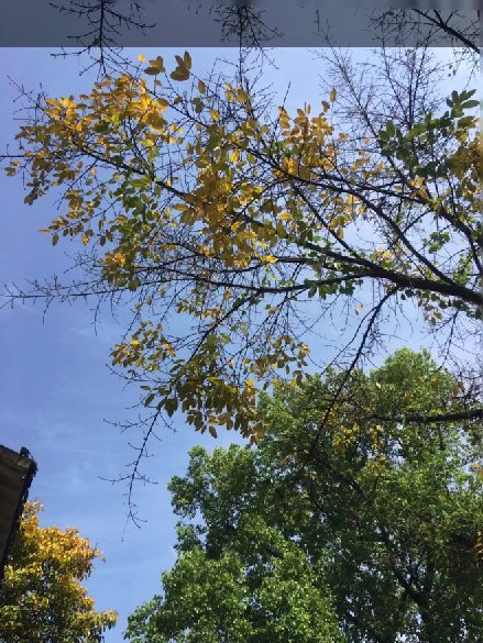 FarrellRic36281's tweet photo. (๑ゝω╹๑)上辈子我大约是生活在冰窖里🌬️﫧 https://t.co/o8yDzowiKO