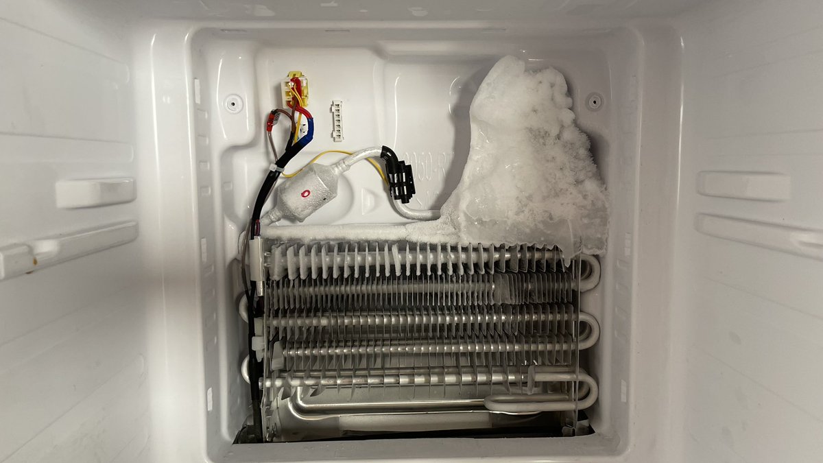 Inti Alonso tweet media