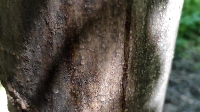 Brand new video up on PornhubModels! https://t.co/BDyMSQ8HGQ https://t.co/cnIzAyu9iq