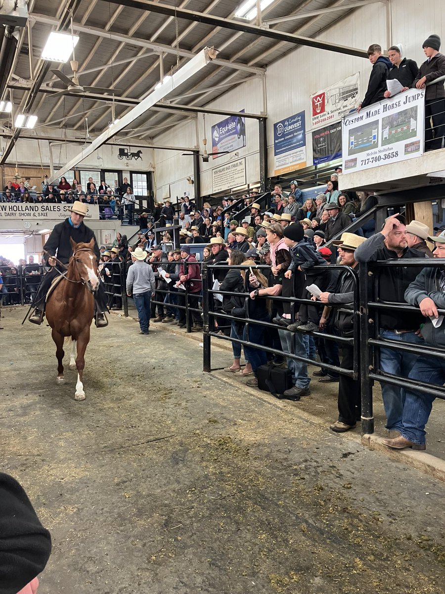 RSwankPSC's tweet photo. It’s a SunSips kinda afternoon…Post New Holland horse sale 🐴 🍸 ☀️ @highnoonsunsips @stoolpresidente https://t.co/xmh2Vte0wP