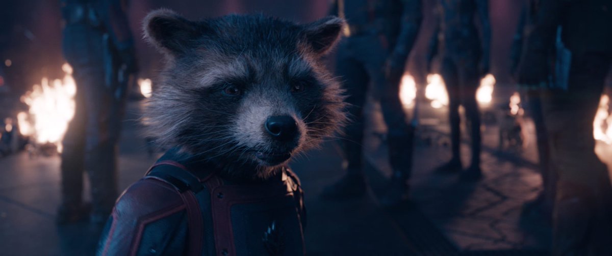 TheJBolt's tweet photo. Rocket Racoon. Thats the tweet https://t.co/bgRrRCQREK