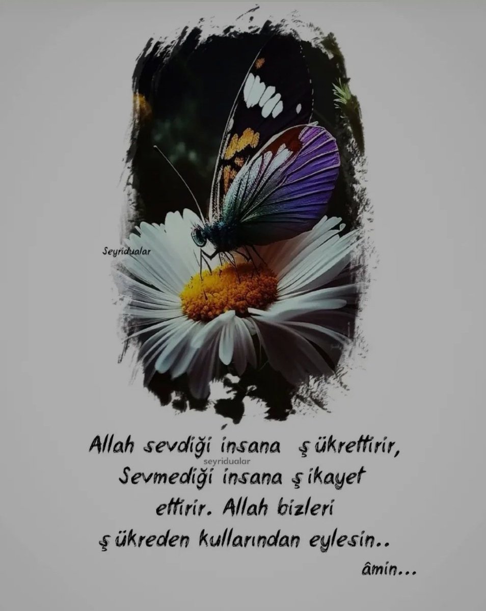 sergen_gdt's tweet photo. Şikayet eder gibi olduğunda,
#Şükret
Endişe eder gibi olduğunda,
#Duaet
Vazgeçer gibi olduğunda,
#Devamet
Bir duyan bir gören var elbet. Yeter ki istemesini bil. https://t.co/TBYVssQX0a