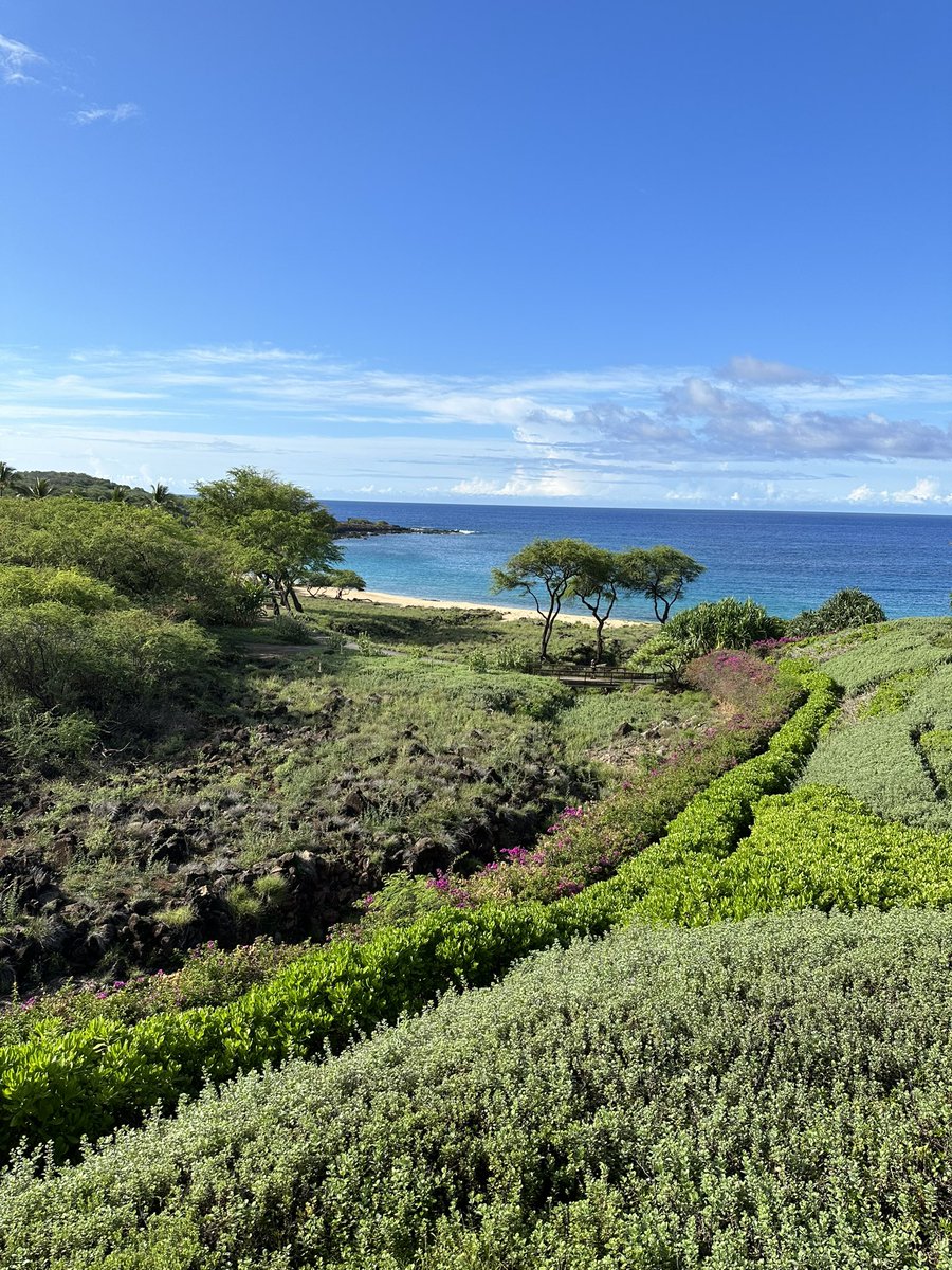 seedphrase tweet media