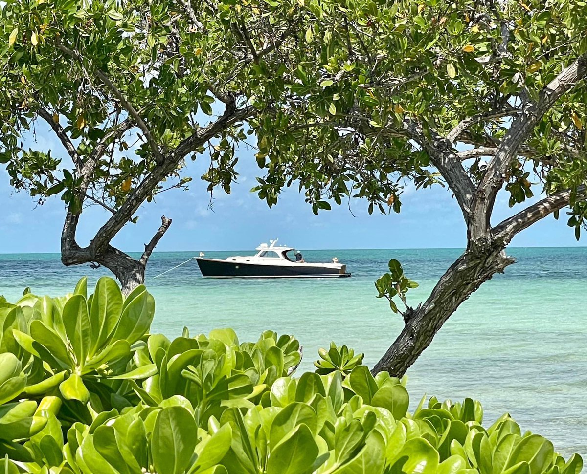 The Florida Keys & Key West tweet media