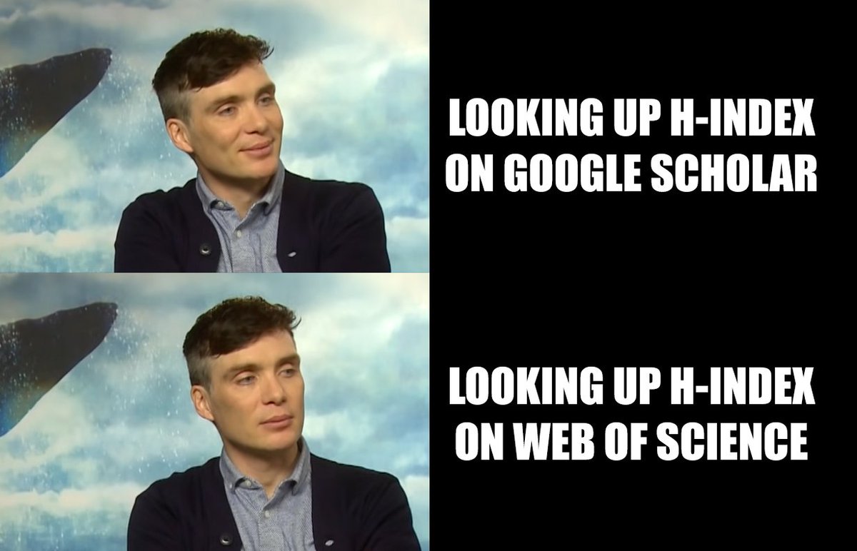 Dr Iva Filipovic (@if91) on Twitter photo 