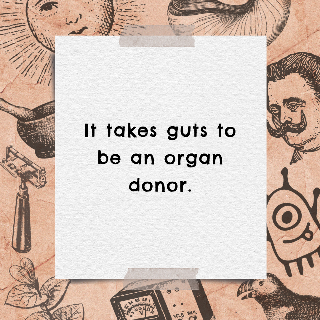 Edzardt's tweet photo. It takes guts to be an organ donor.

#joke #funny #edzardt #dadjoke #dailyjoke #funnytee #laugh https://t.co/3VyncrWSyu