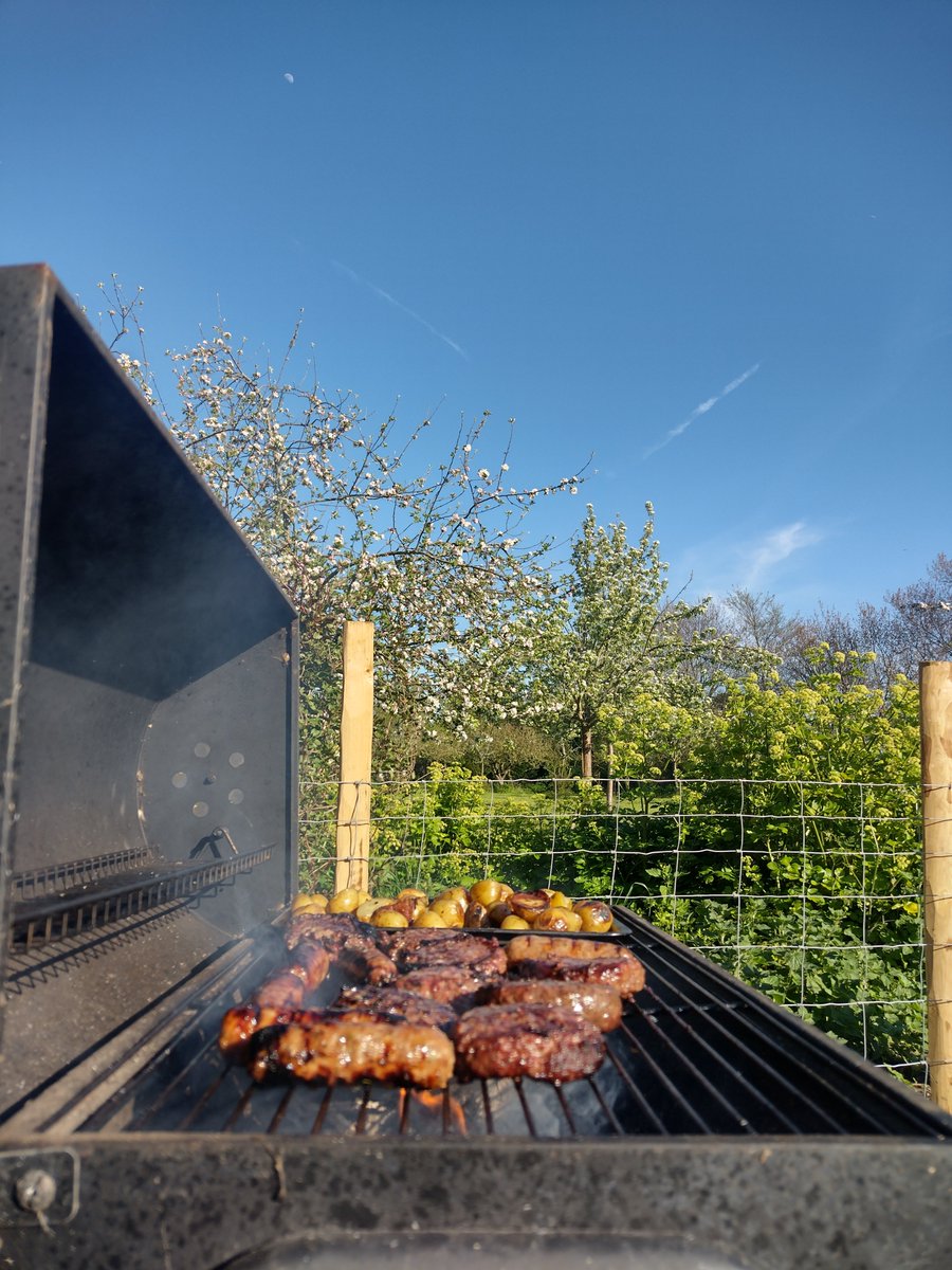 little_beee's tweet photo. BBQ and cider. Bank holiday has been off to a good start. https://t.co/lxzkM7GyYB