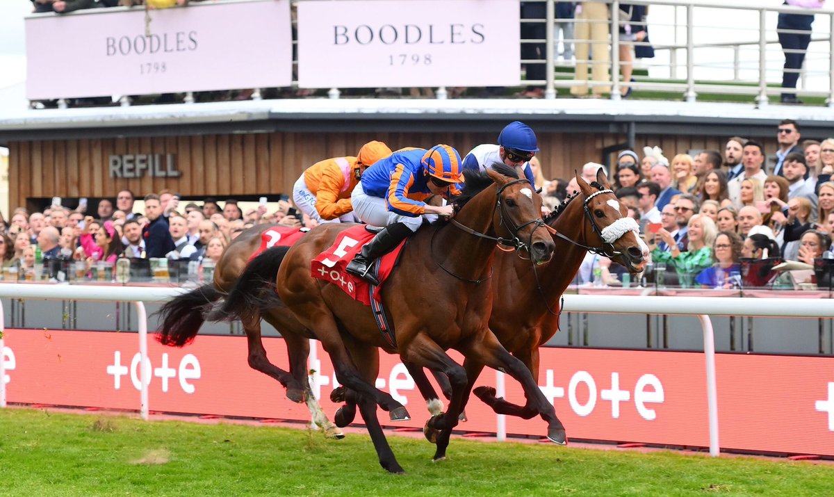 tips4punters's tweet photo. 🚨🏇 MAY FESTIVAL GIVEAWAY 🏇🚨

With thanks to @ToteRacing T4P has a pair of County tickets for Ladies Day (11th) at the upcoming May Festival at Chester Races to giveaway. 

To enter: 
- 🔁 Retweet 
- 🤝 You must be following @tips4punters &amp; @ToteRacing

Good luck. 👍 https://t.co/w8zup1re2H