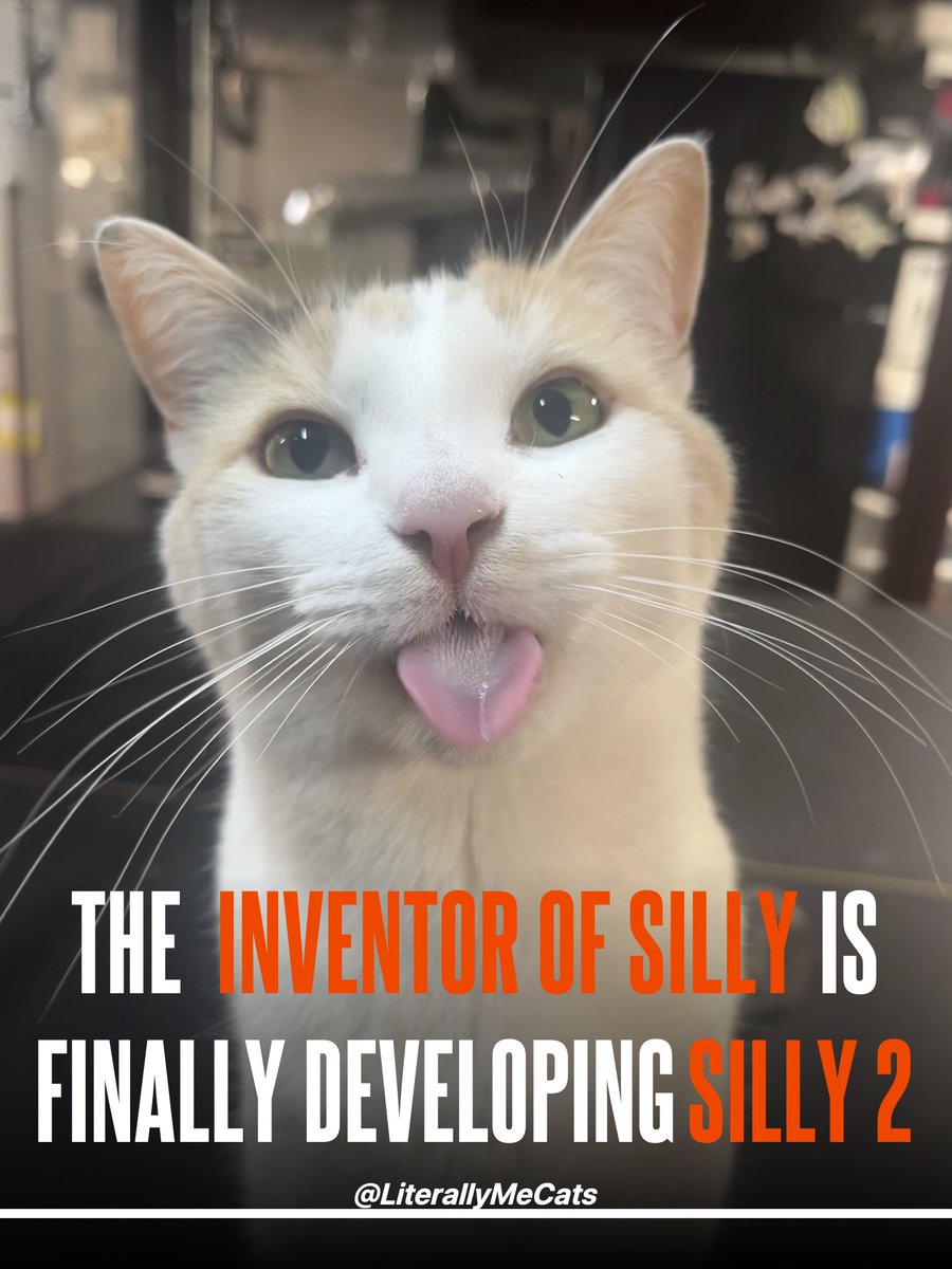 literallymecats's tweet photo. https://t.co/UAeRbrMmIb