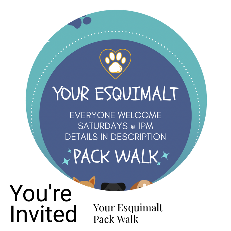 YourHumanPets's tweet image. Everyone Welcome
wix.to/9biBtka
#PackWalk #YourHumanPetServices #YourEsquimaltPackWalk #VictoriaBC #Esquimalt