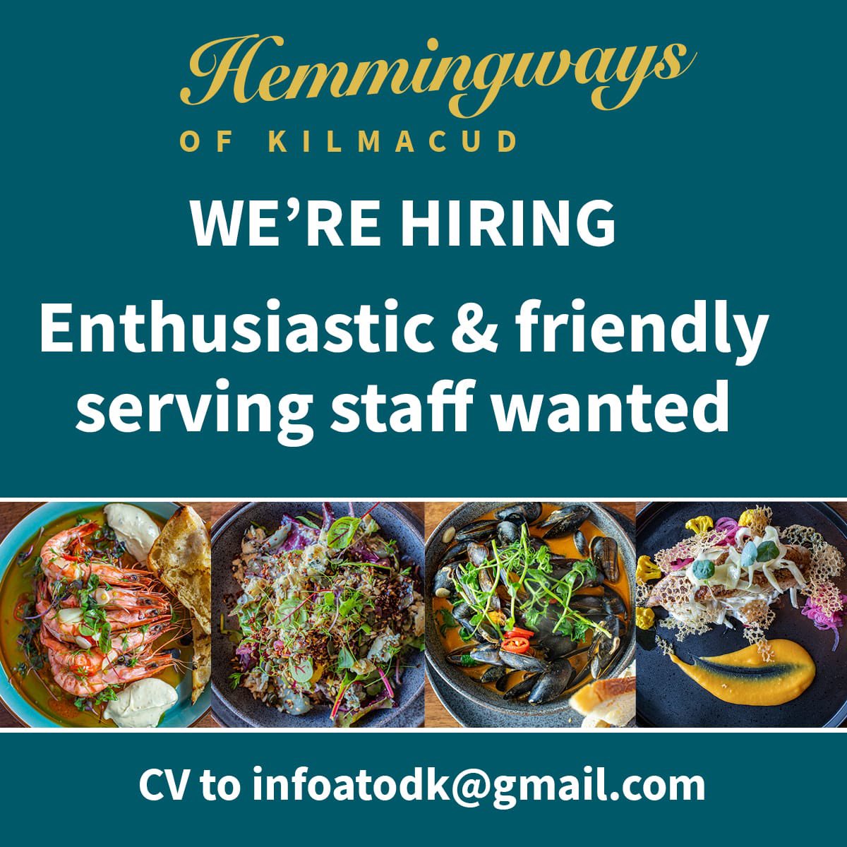 ScottsDublin's tweet photo. ✨ We Are Hiring! ✨
Not feeling appreciated? Join our team!
At O’Dwyers Kilmacud we are looking for experienced floor and bar staff to join our team!
To apply please email your CV to infoatodk@gmail.com 
We look forward to hearing from you!
#hiring #applynow #JobFairy https://t.co/B0UwbHqSp0