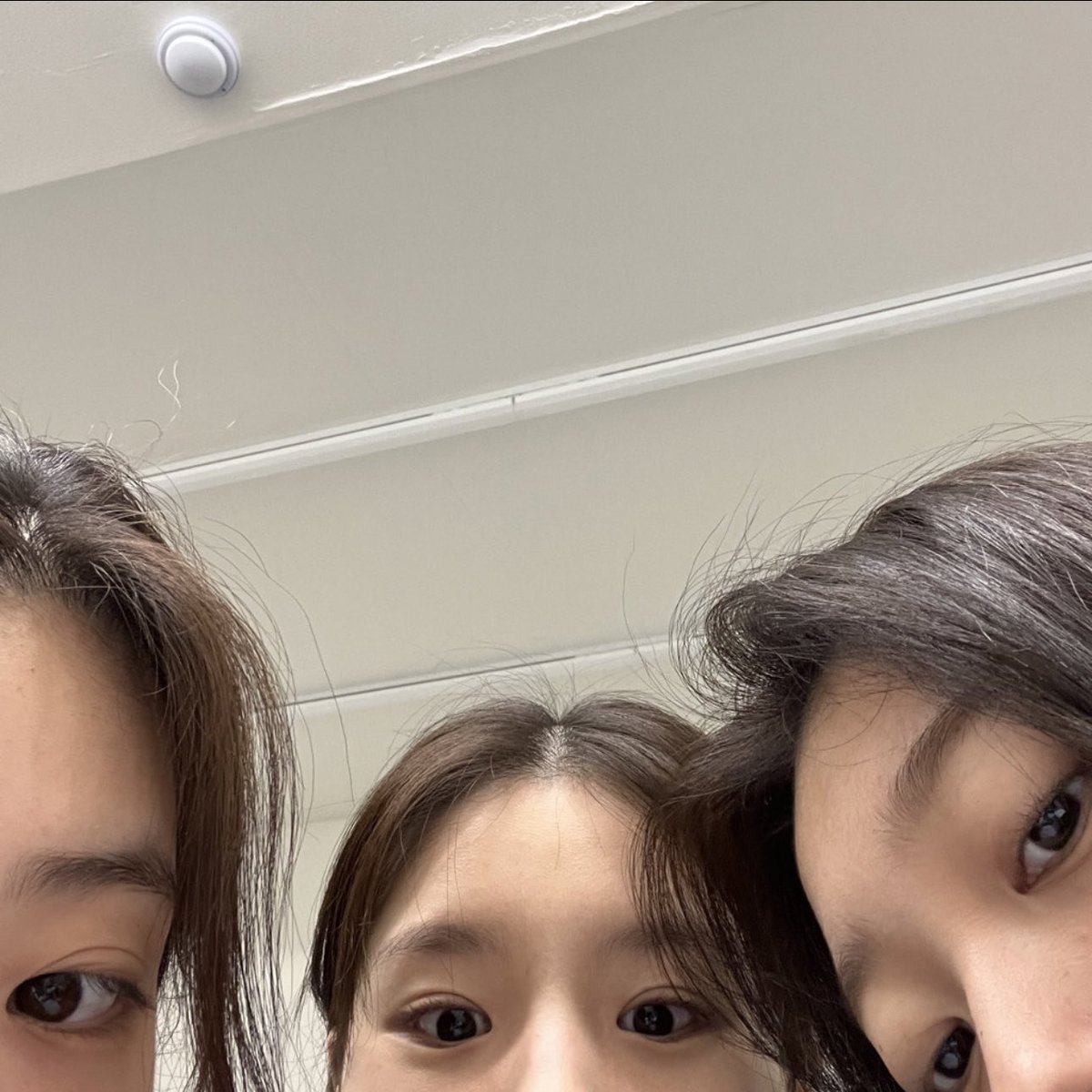 🐰 tweet media