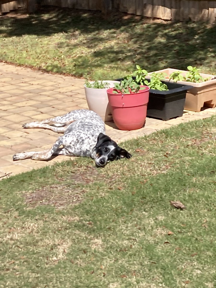 Frances O'Donnell tweet media