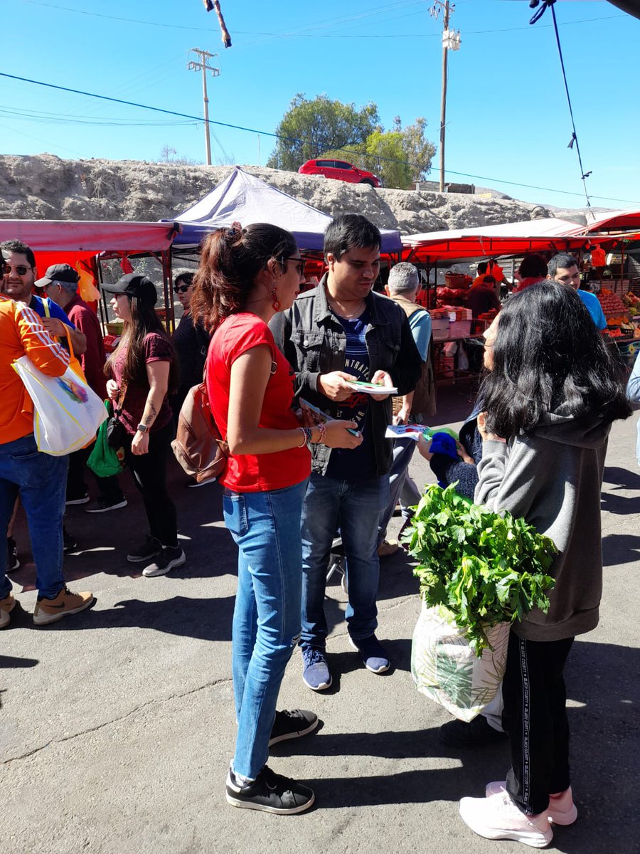 raularayaz's tweet photo. Hoy en Feria libre Lastarrias. 💚✨ https://t.co/ZuWO2CHnUs