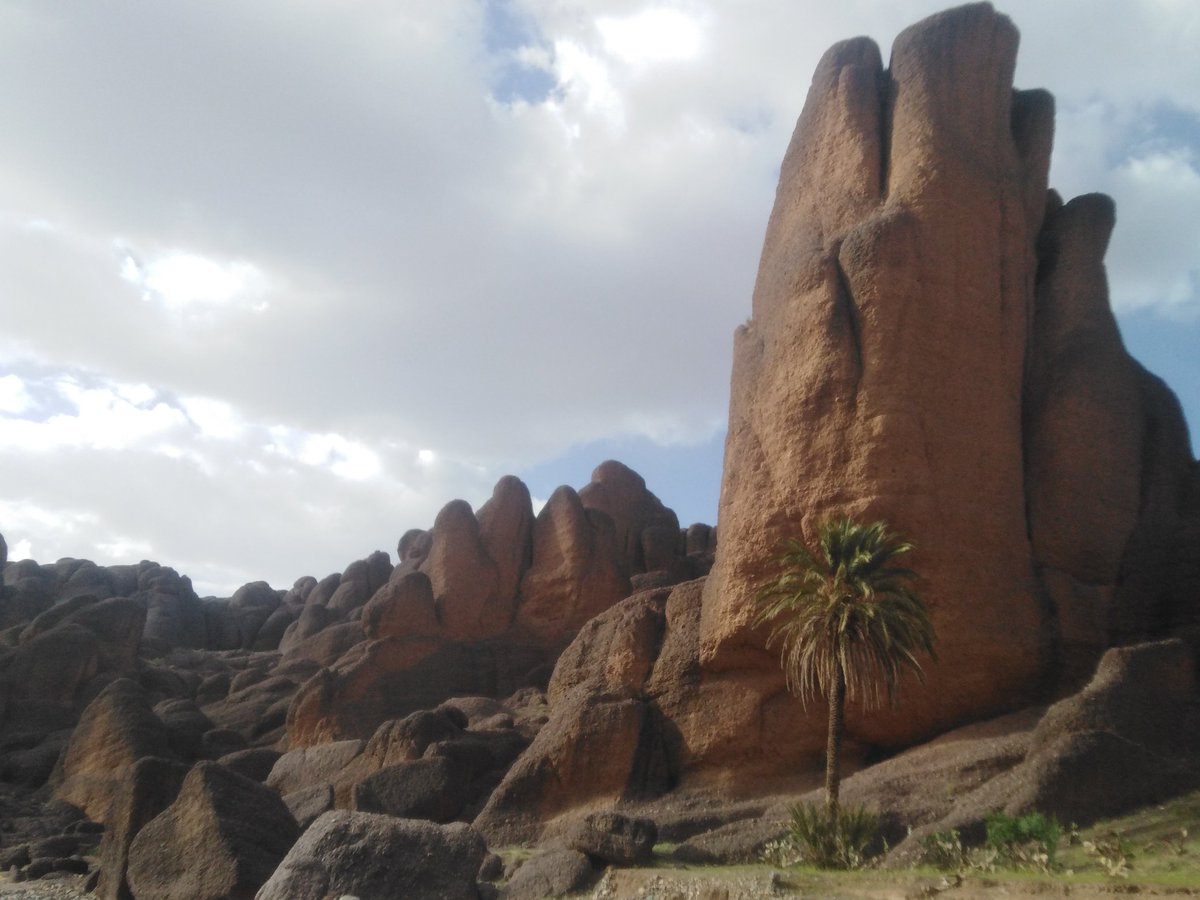 MarrakeshTour's tweet photo. Sahara Tours Morocco offers the best #Tours #trips #holidaypackages #adventures #explore #experience #explore #discover #moroccotravel #Sahara_Tours_Morocco #deserttour #saharatour #moroccotravel #wanderlust
.
. https://t.co/i7wTZk91XN Book your dream tour in Morocco today 🌴🐪🌴 https://t.co/XxkJdyd7Qz