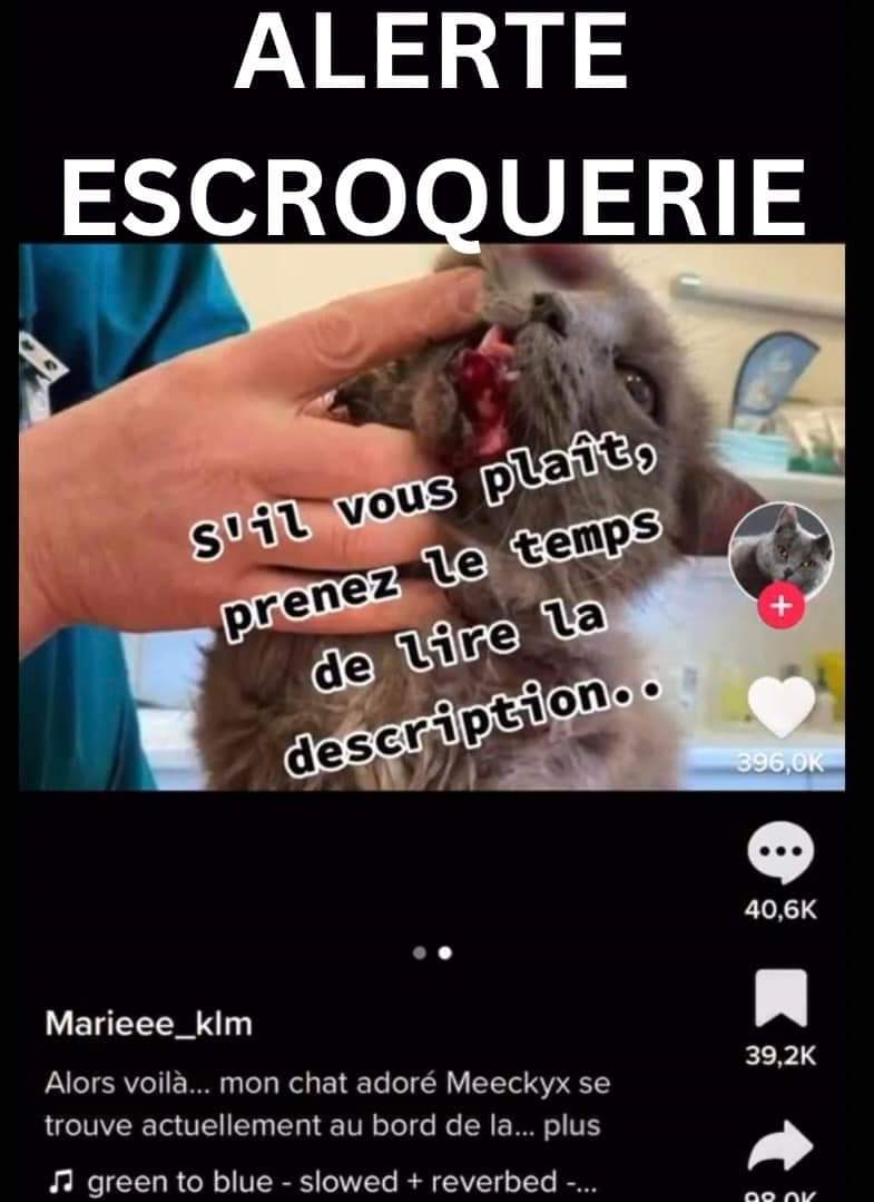Brigade de Protection Animale – BPA tweet media