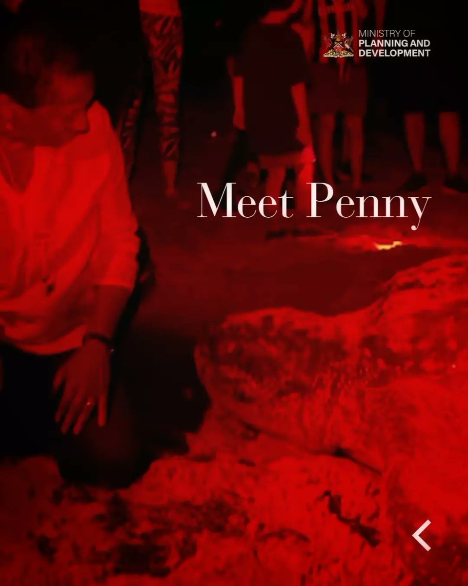 Min. of Planning, Economic Affairs and Development tweet media