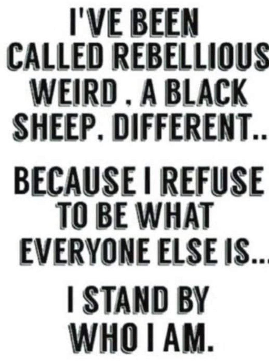 iamyourmanofgod's tweet photo. Who is the #Cattle? #Iam that 🤬 #BeastMaster where are your #spells🙀 Indian giver gave spiritsTodrink up #AlcoholicsWhyLeanOn #MormonDevilishLies Dot Dot dot dot Duck duck Humpty no eggs get around digitally you don’t stop https://t.co/IRHixmXQMh