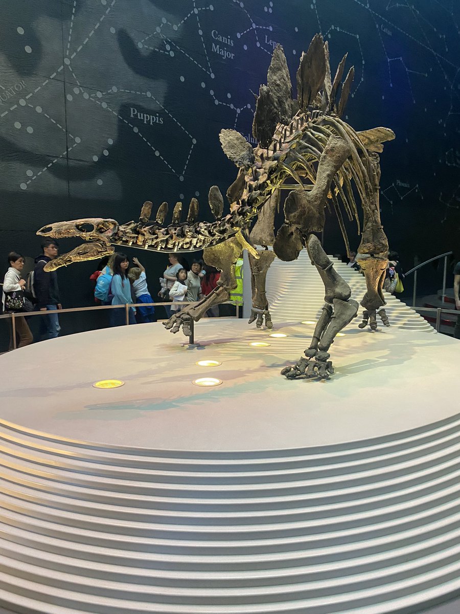 Tom Wise tweet media