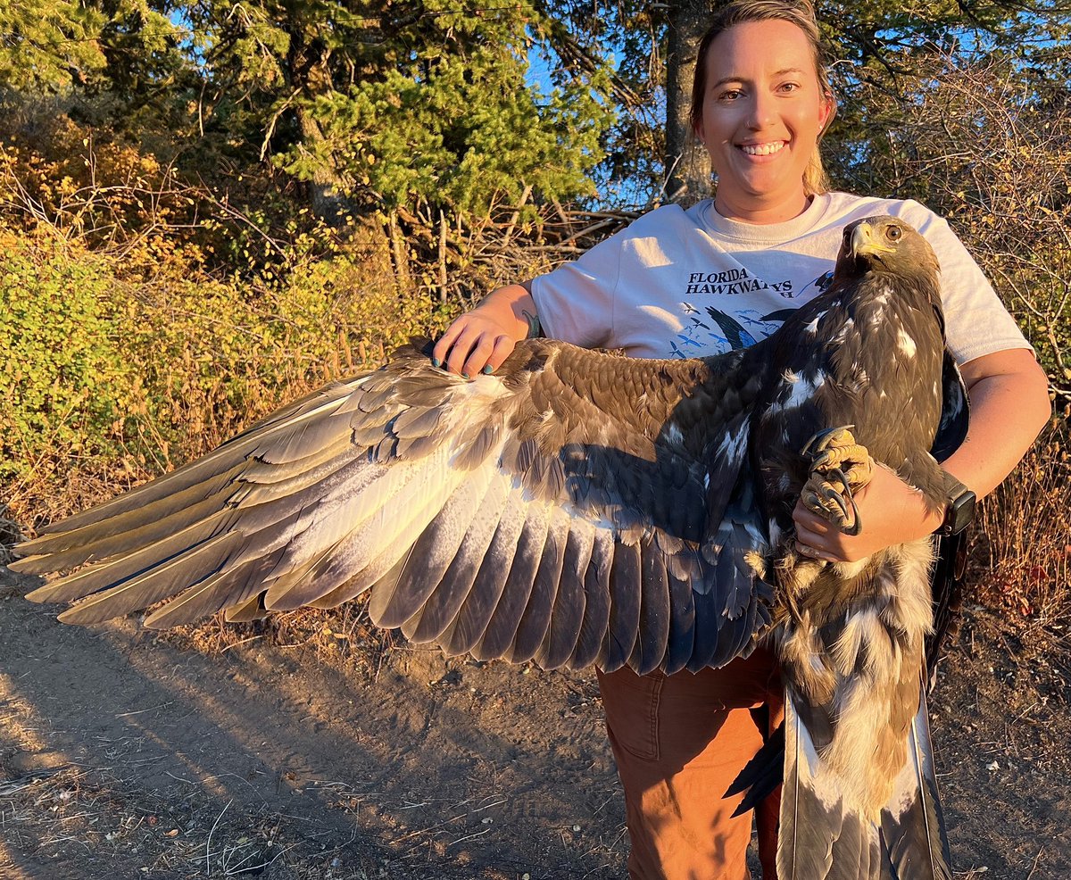 Eden Sunshine tweet media