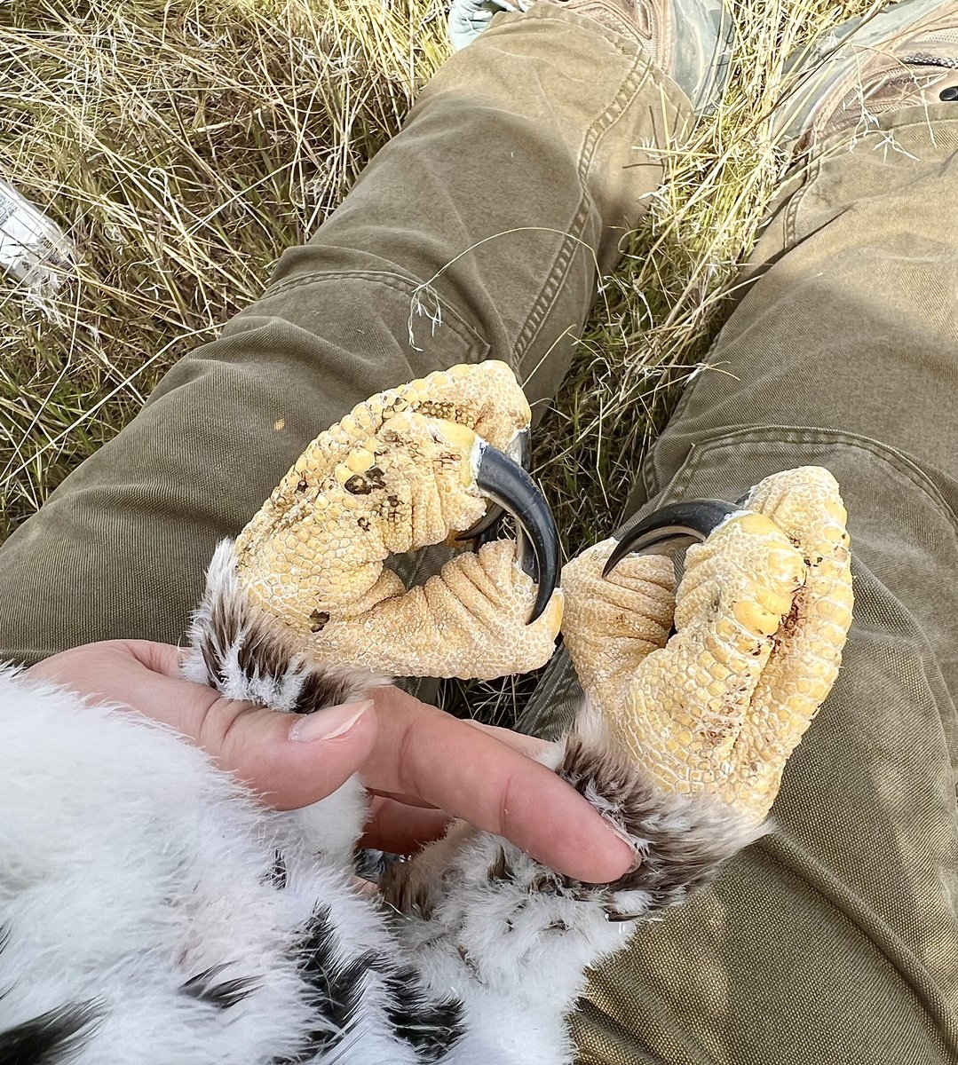 Eden Sunshine tweet media