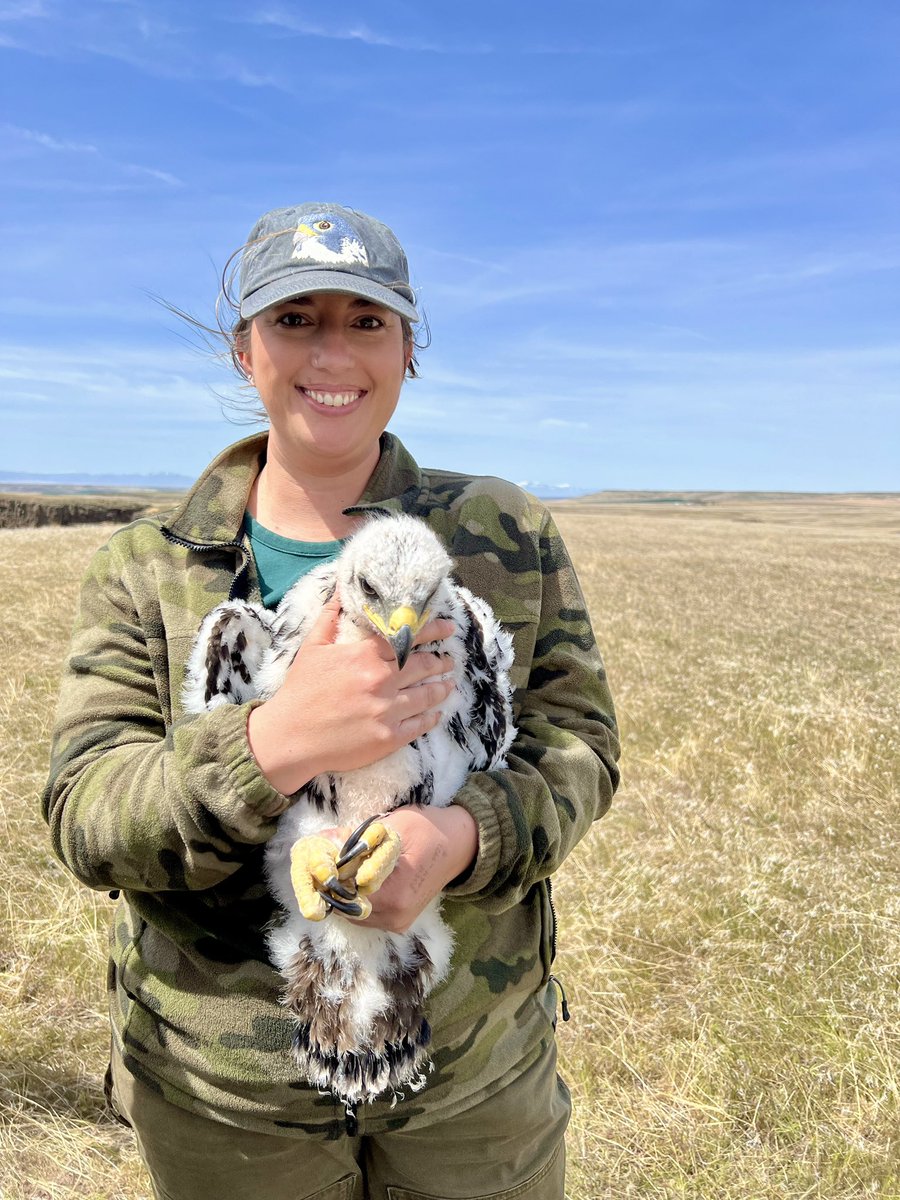 Eden Sunshine tweet media