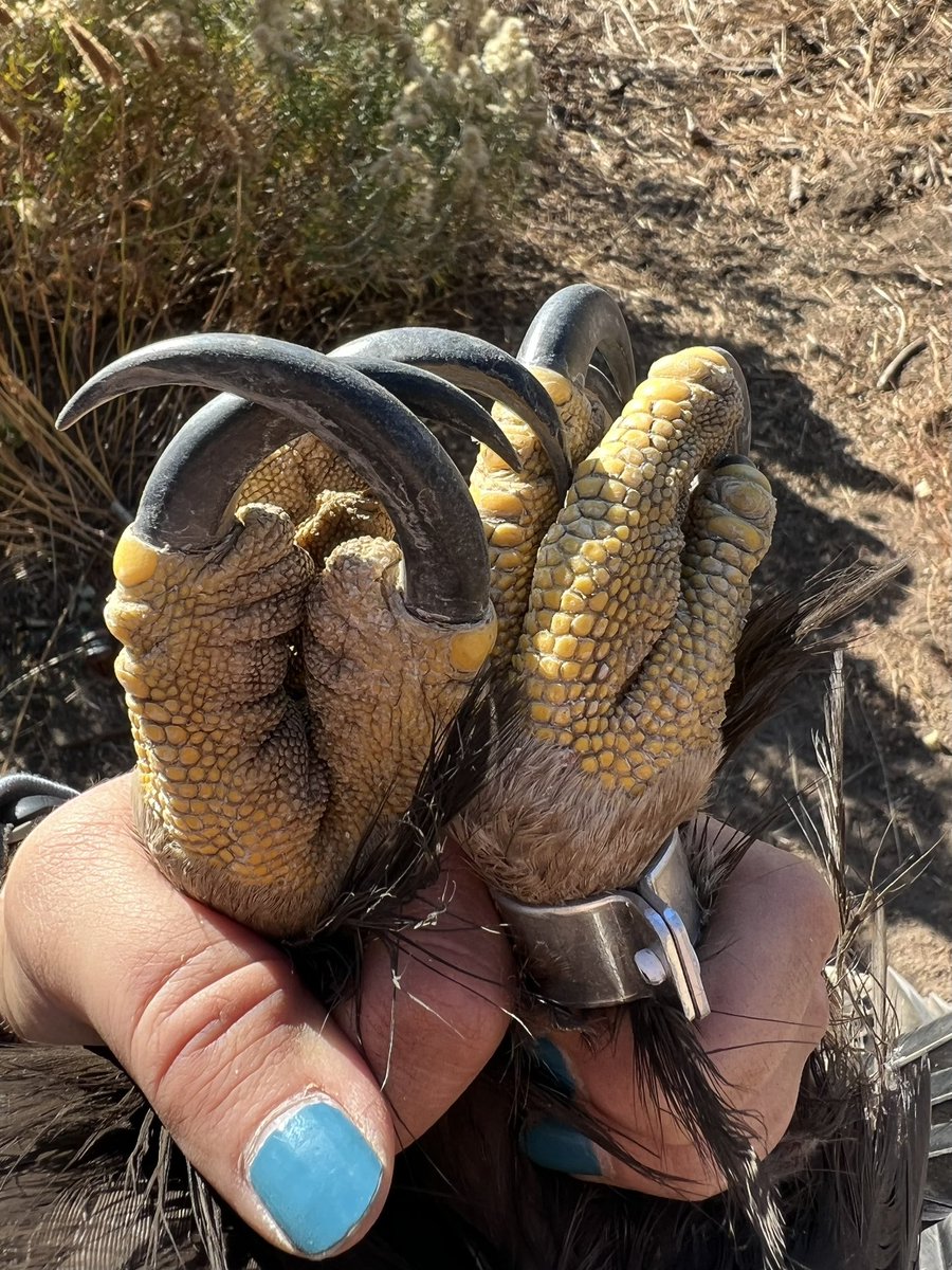 Eden Sunshine tweet media