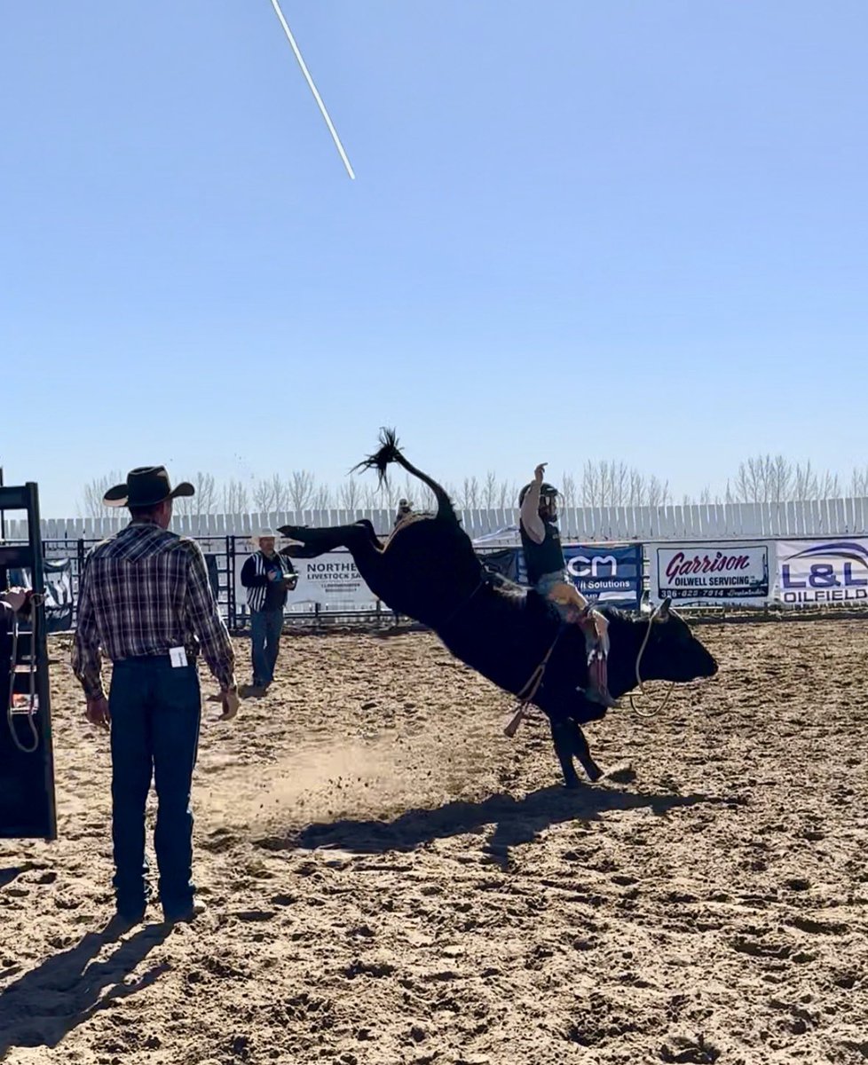 Mona Howe tweet media