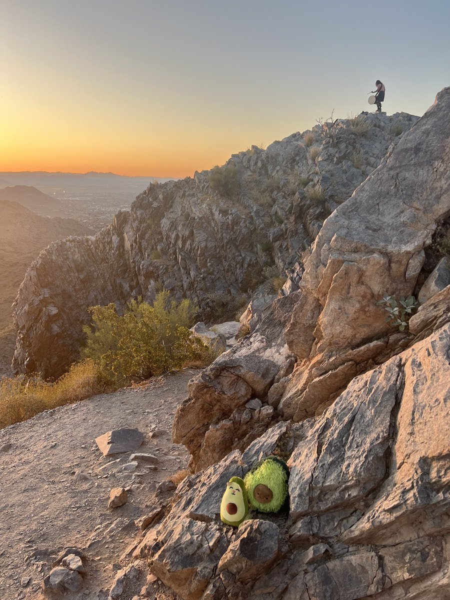 Michelle Cardel, PhD, MS, RD tweet media