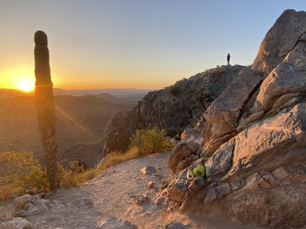 Michelle Cardel, PhD, MS, RD tweet media