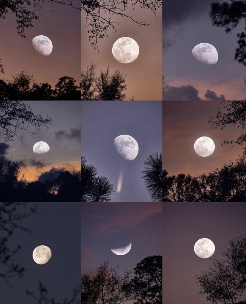 la luna on Twitter "fases del la luna"