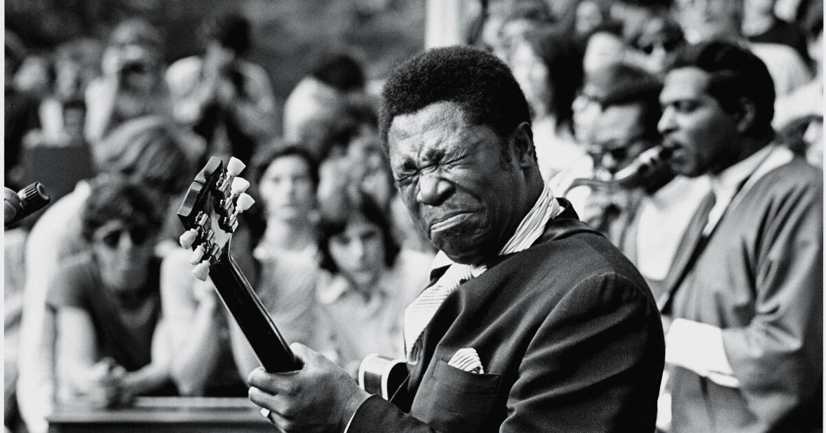 AhistoricalPics's tweet photo. I'm really loving Blues Guy, the cool new alternative to Twitter! https://t.co/KaODMULbgB