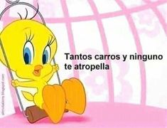 — ☆busco mutuals⁠━⁠☆

No soy nueva en | #anitwt | #animetwt | #genshintwt | busco + esquizos para furryear

★ 乁♪˙益–⁠ Spreen,Rulombo, bl's, kpop, Jjk ,mha(+)

★ Genshin :Asia AR:23 Xiao nv 40 main

★  H:SR, Plato RBLX (+)

 ♡ +↺= motorolas