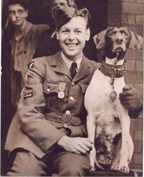 BusyDrT's tweet photo. Judy, a purebred pointer, was the mascot of several ships in the Pacific, and was captured by the Japanese in 1942 and taken to a prison camp. There she met Aircraftsman Frank Williams, who shared his small portion of rice with her.
Judy raised morale in the POW camp, and also barked when poisonous snakes, crocodiles or even tigers approached the prisoners. When the prisoners were shipped back to Singapore, she was smuggled out in a rice sack, never whimpering or betraying her presence to the guards.
The next day, that ship was torpedoed. Williams pushed Judy out of a porthole in an attempt to save her life, even though there was a 15-foot drop to the sea. He made his own escape from the ship, but was then recaptured and sent to a new POW camp.
He didn't know if Judy had survived, but soon he began hearing stories about a dog helping drowning men reach pieces of debris after the shipwreck. And when Williams arrived at the new camp, he said: "I couldn’t believe my eyes! As I walked through the gate, a scraggly dog hit me square between the shoulders and knocked me over. I’d never been so glad to see the old girl!"
They spent a year together at that camp in Sumatra. "Judy saved my life in so many ways," said Williams. "But the greatest of all was giving me a reason to live. All I had to do was look into those weary, bloodshot eyes and ask myself: 'What would happen to her if I died?' I had to keep going."
Once hostilities ceased, Judy was then smuggled aboard a troopship heading back to Liverpool. In England, she was awarded the Dickin Medal (the "Victoria Cross" for animals) in May 1946. Her citation reads: "For magnificent courage and endurance in Japanese prison camps, which helped to maintain morale among her fellow prisoners, and also for saving many lives through her intelligence and watchfulness".
At the same time, Frank Williams was awarded the PDSA's White Cross of St. Giles for his devotion to Judy. Frank and Judy spent a year after the war visiting the relatives of English POWs who had not survived, and Frank said that Judy "always provided a comforting presence to the families."
When Judy finally died at the age of 13, Frank spent two months building a granite and marble memorial in her memory, which included a plaque describing her life story. https://t.co/60Q365HmDw