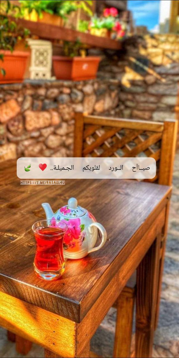 صبــاآح الــورد لقلوبكم الجـميلـة..♥🍃
