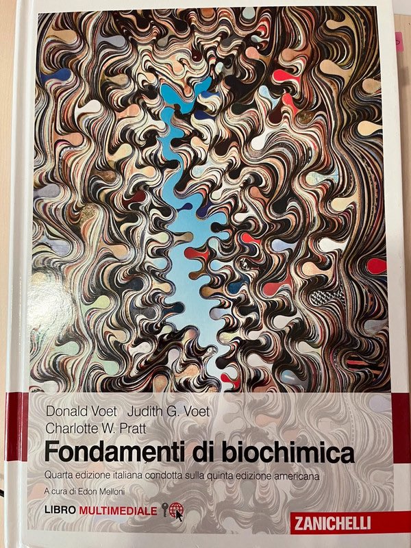 Jiuls_'s tweet photo. Scopri il {catalog} % che vendo su @Vinted. Taglia  a 80,00 € €! https://t.co/1s0nNqI406 https://t.co/g7HvW0mqI7