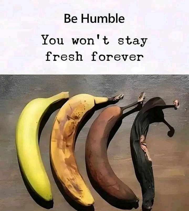 JustSadio's tweet photo. La vie, c'est des étapes. Soyez humble car vous ne resterez pas éternellement frais. https://t.co/Nb12c8coKW