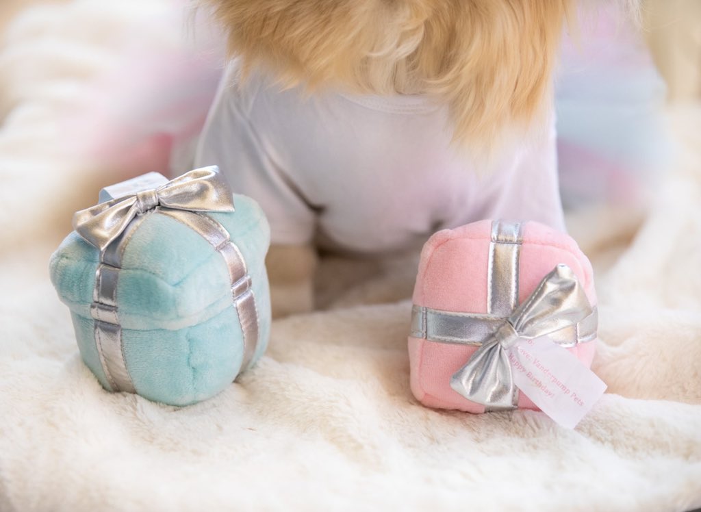 Make sure to get yours paws on our 30% off sale on all plush toys and carriers, PLUS you’ll receive free shipping now till Sunday!! #VanderpumpPets