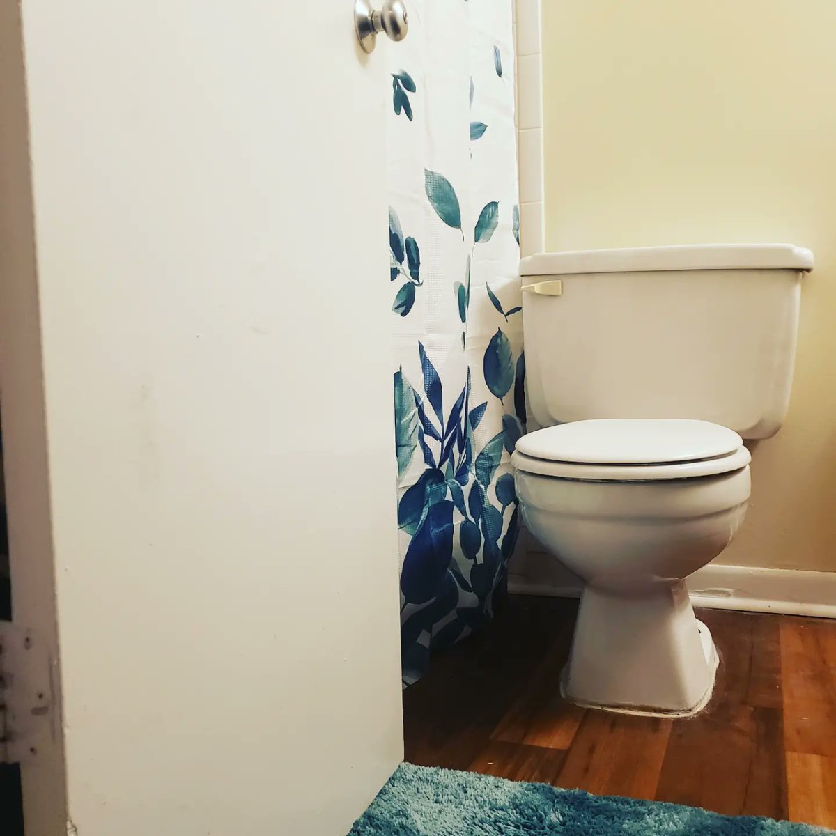 lhpraznik's tweet photo. Moving to a new city and state. Excited to show the cat's their new home. #WelcomeHome #Savannah https://t.co/Ylijw7bi1w