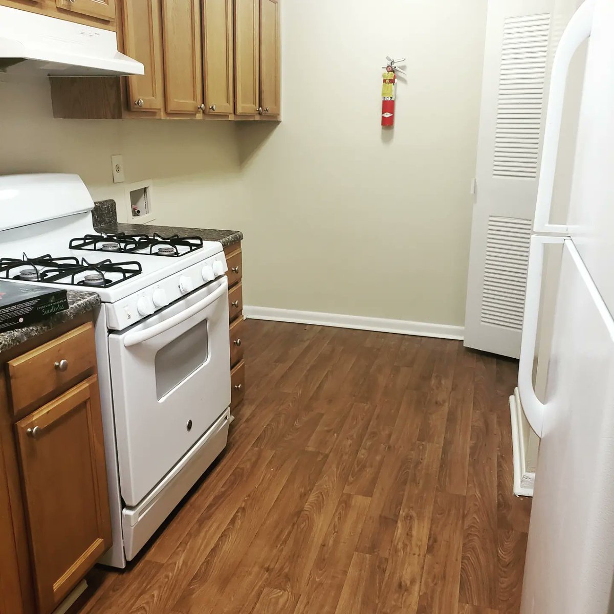 lhpraznik's tweet photo. Moving to a new city and state. Excited to show the cat's their new home. #WelcomeHome #Savannah https://t.co/Ylijw7bi1w