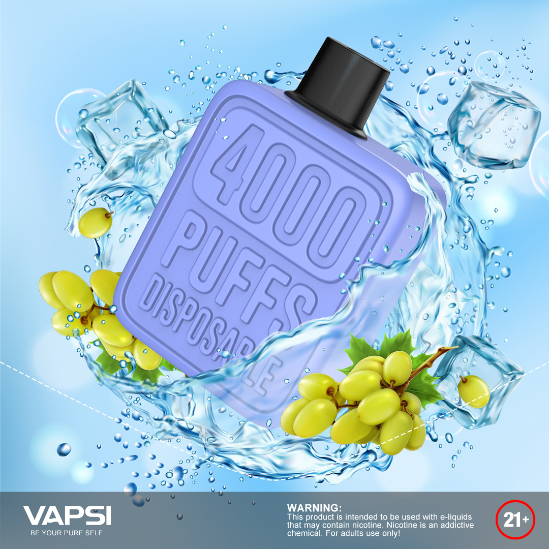 Let Vapsi take your taste buds on a refreshing adventure this holiday season!😎😎😎

Warnings: This product is only for adults.

#Vapsi #vapsicuuk #disposable #vapersunited #vaperwave #disposablevapepen