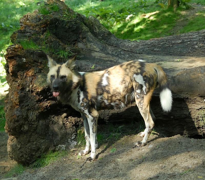 HourlyAWD's tweet photo. 2023-04-30T00:02:01+00:00 https://t.co/UyTFKyaZYL https://t.co/lNpJdGBHA9
