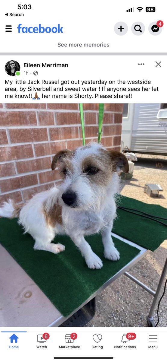 Trez_Leches's tweet photo. TUCSON PEEPS, if you live around the sweet water / silver bell area please keep an eye out for my moms pup. 🙏🏽🙏🏽 https://t.co/NTVFNQjawo