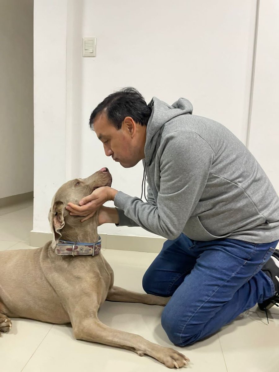 pablograssook's tweet image. Como todos los días, al finalizar la jornada, Homero me recibe en casa 🐶😍
En el Día del Animal, nuestras mascotas merecen todo nuestro amor, sigamos trabajando juntos por un cuidado responsable ❤ 

#DíadelAnimal #CuidadoResponsable