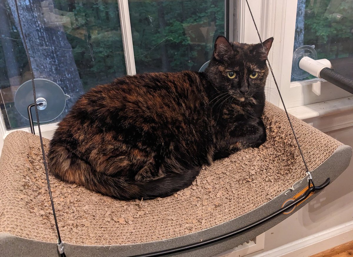 Back home from #evgils23. Here's part  of the reception committee.