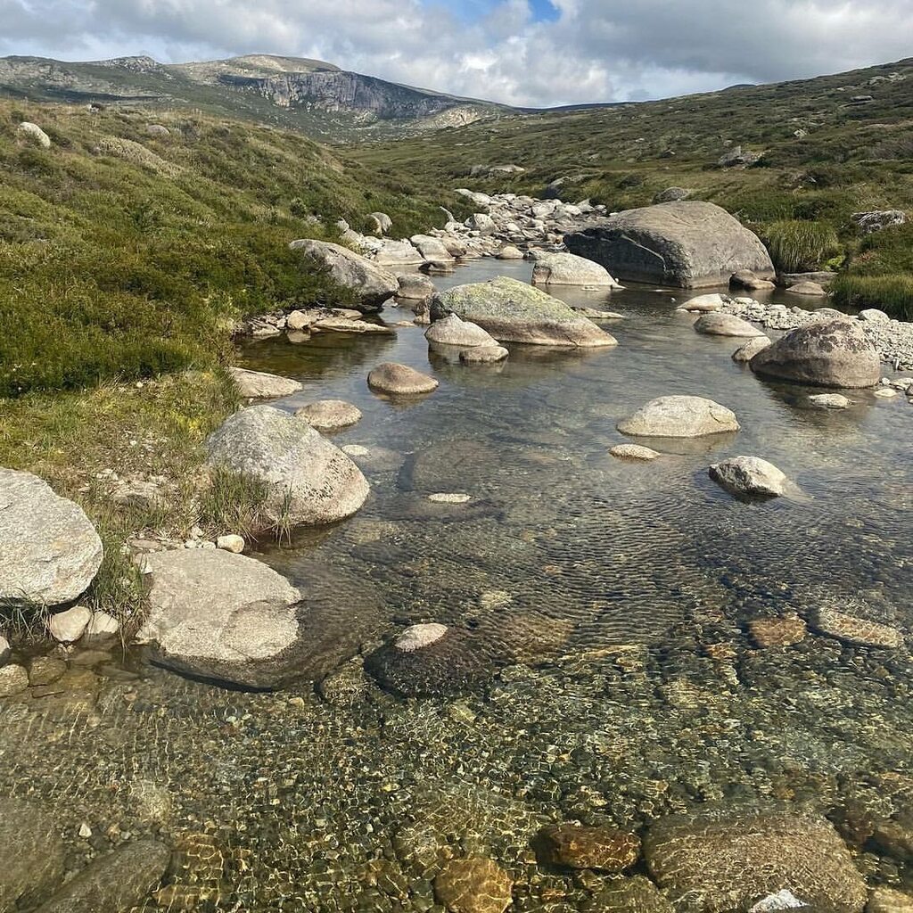 LakeCrackenback's tweet photo. Sweeping views of the rolling Snowy Mountains, pristine lakes and gorgeous wildflowers await along the many walking tracks of stunning #KosciuszkoNationalPark ☀️ 

Now is a great time to visit, before the snow buries these treasures for another season #N… https://t.co/VXHivAA9Al https://t.co/Yc2k2c2vo9