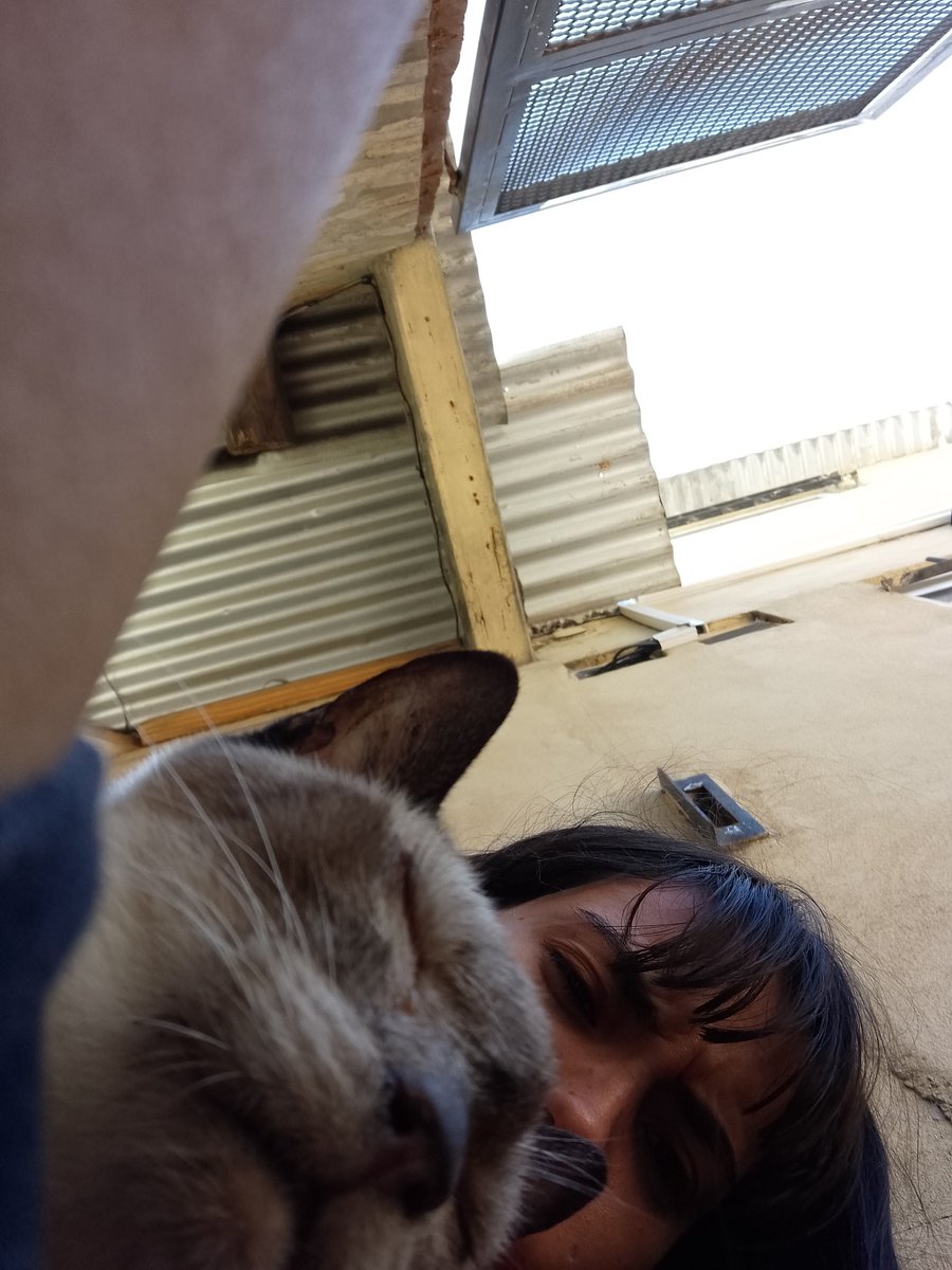 Lu_alcaa's tweet photo. A pesar de tener los ojos azules más lindos que vi, vivías achinadito💙. mí príncipe, te adueñaste de mí cama y de mí ❤️. 
Hoy me toca despedirte. Creo que nunca voy a encontrar las palabras suficientes para explicar lo mucho que te amo https://t.co/9ayAr2PLj3