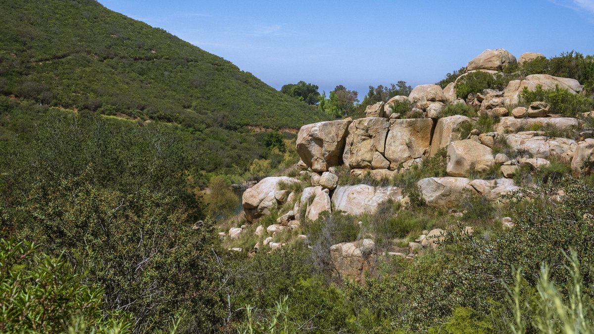 ome_says's tweet photo. 04.29.23 

Lake Poway Again 

the hike was actually brutal 
#fyp #fujifilm #fujifilmxt30ii #lake #photooftheday #photography #landscape https://t.co/t06PdeijgL