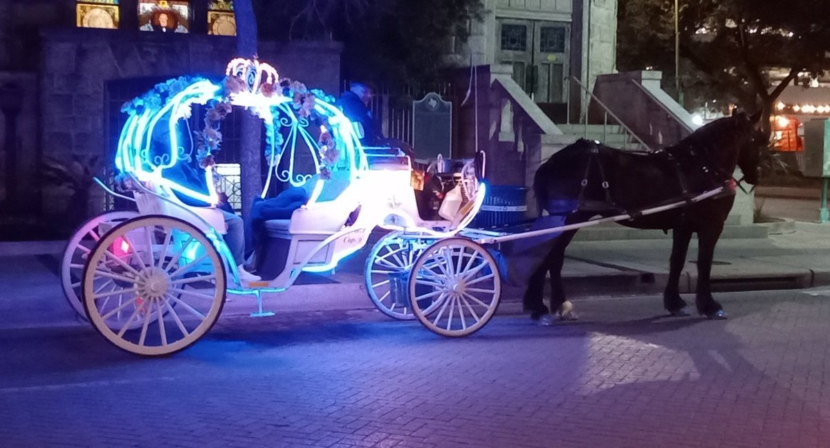 Michael4MayorSA's tweet photo. #SanAntonio #Spurs #satx #Brahmas #Fiesta #sanantoniofiesta #Fiesta2023 #HornsForward #sabookfest

moRon wants magical horse drawn carriages gone.We're Texas! Land of horses!Teddy Roosevelt came here for his horse-riding "Rough Riders!" Keep the horse carriages;get rid of moRon! https://t.co/8s5tlf4YdZ